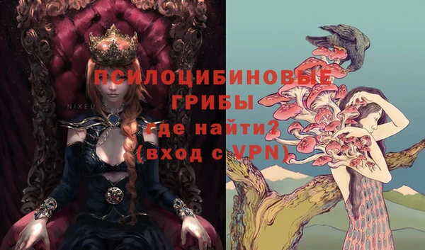 spice Абинск