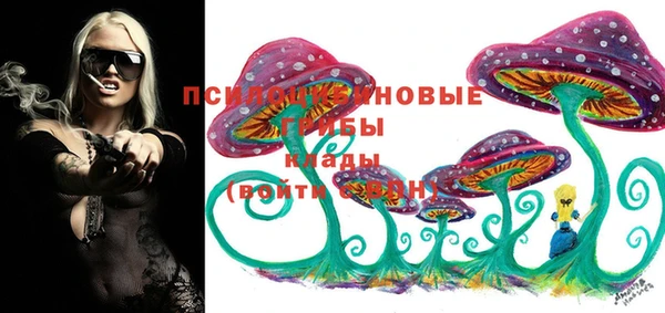 твердый Алзамай