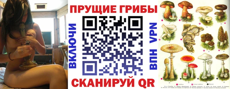 где найти наркотики  KRAKEN сайт  Галлюциногенные грибы Cubensis  Чухлома 